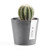 Amsterdam Mini Pots ECO2283GR 2